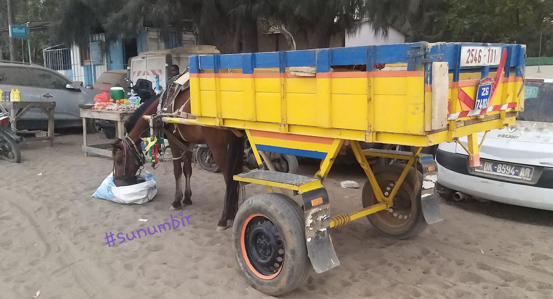 274168042 4782166655163870 5234729507310166182 n