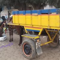 274168042 4782166655163870 5234729507310166182 n