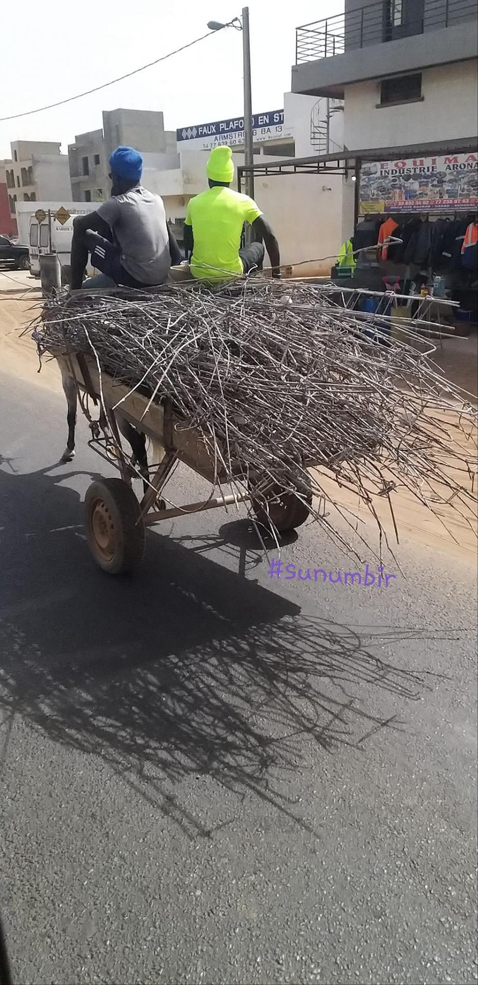 274188870 4783815954998940 290004297479414595 n 1