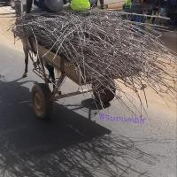 274188870 4783815954998940 290004297479414595 n 1