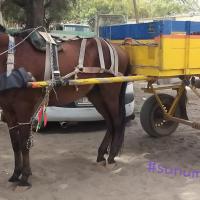 274216269 4782166465163889 4476221840333758602 n 1