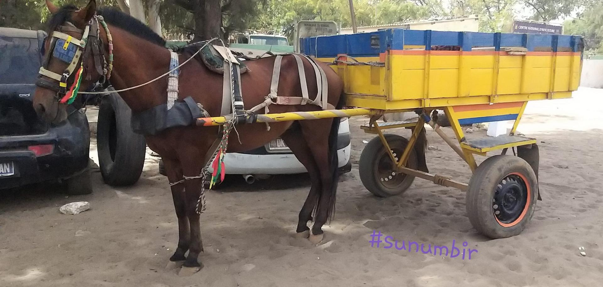 274216269 4782166465163889 4476221840333758602 n