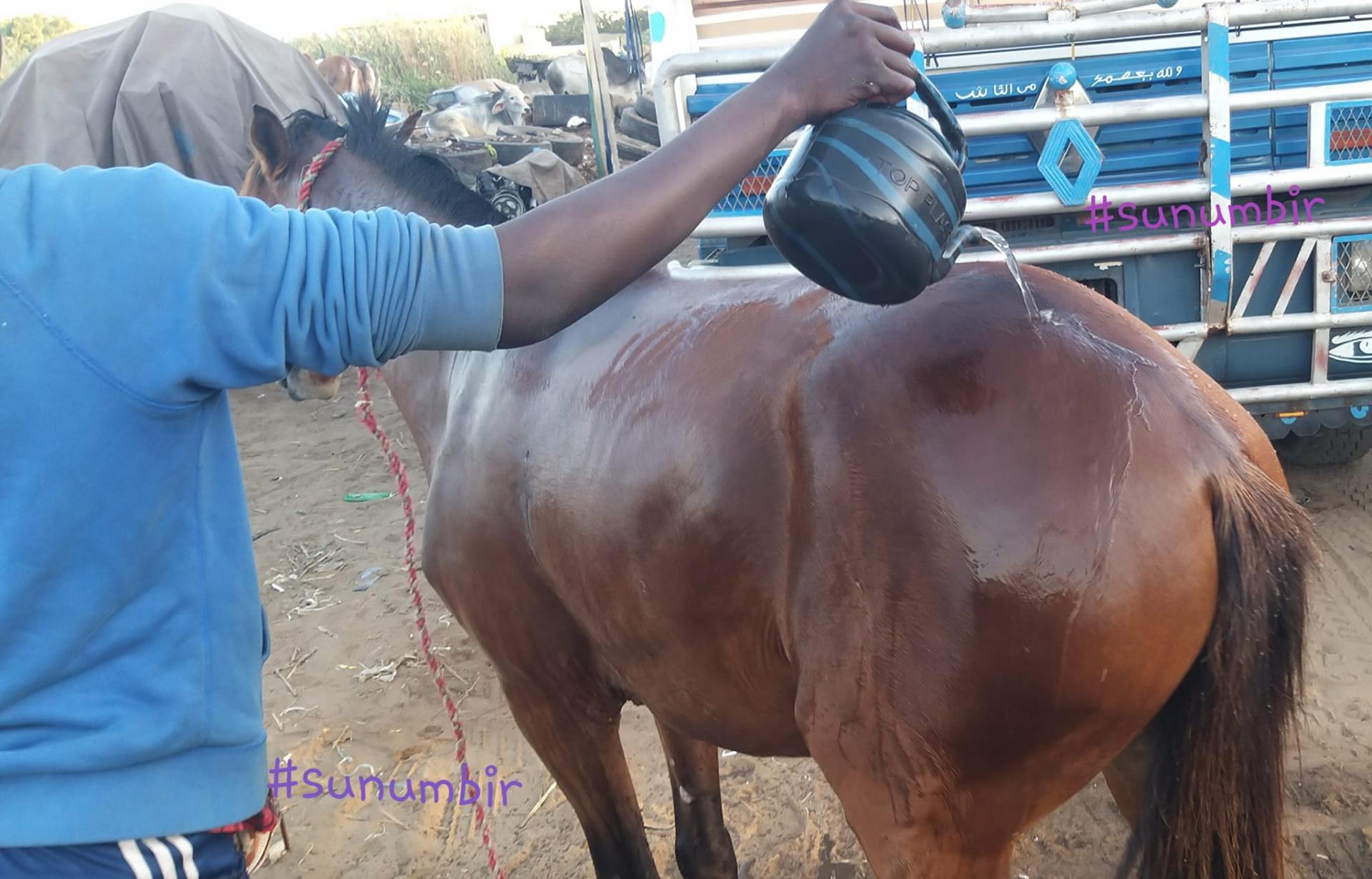 274236654 4785960658117803 3010376426995371964 n