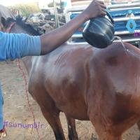 274236654 4785960658117803 3010376426995371964 n