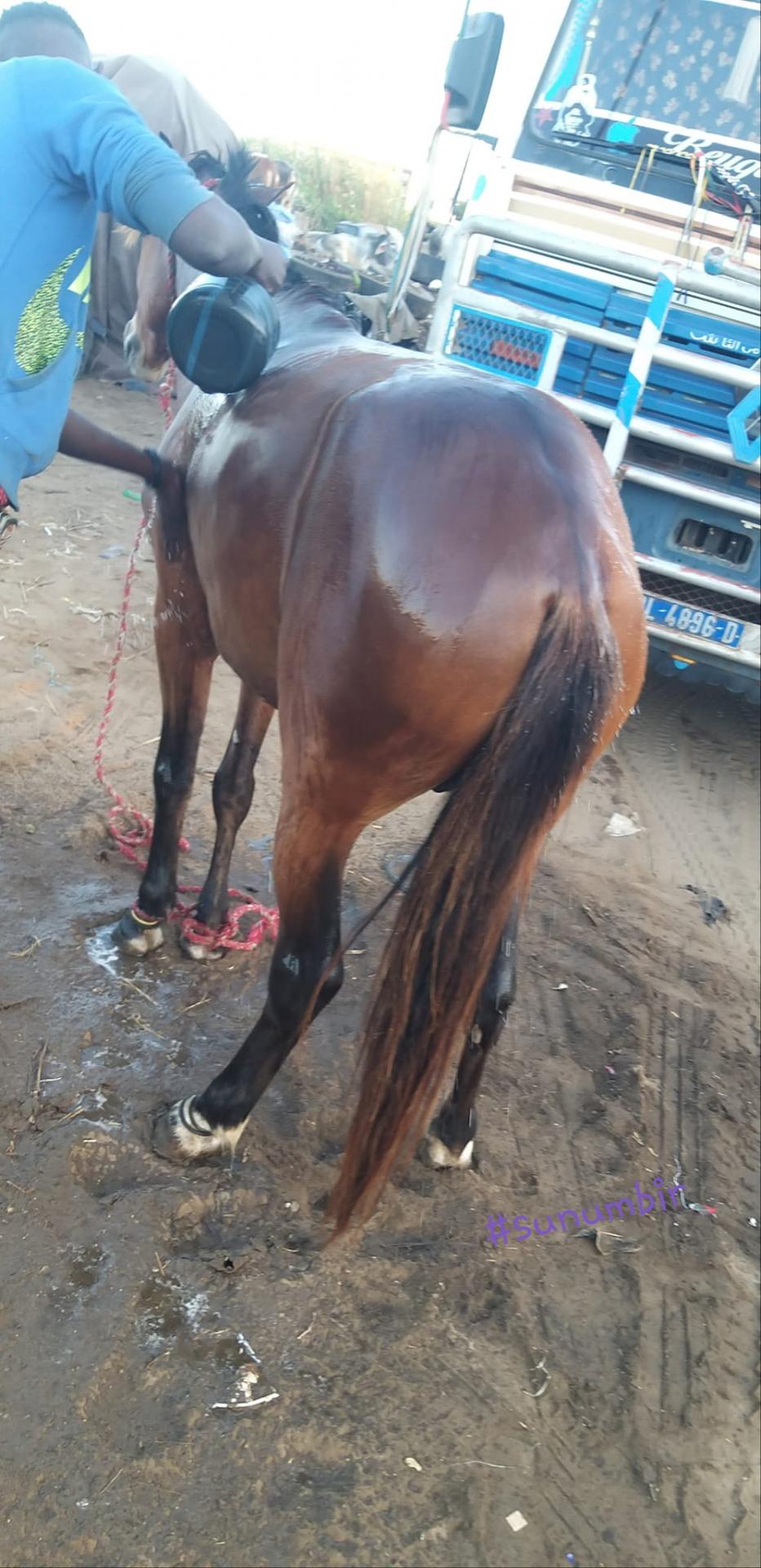 274260628 4785961061451096 9122887133023242242 n