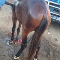 274260628 4785961061451096 9122887133023242242 n