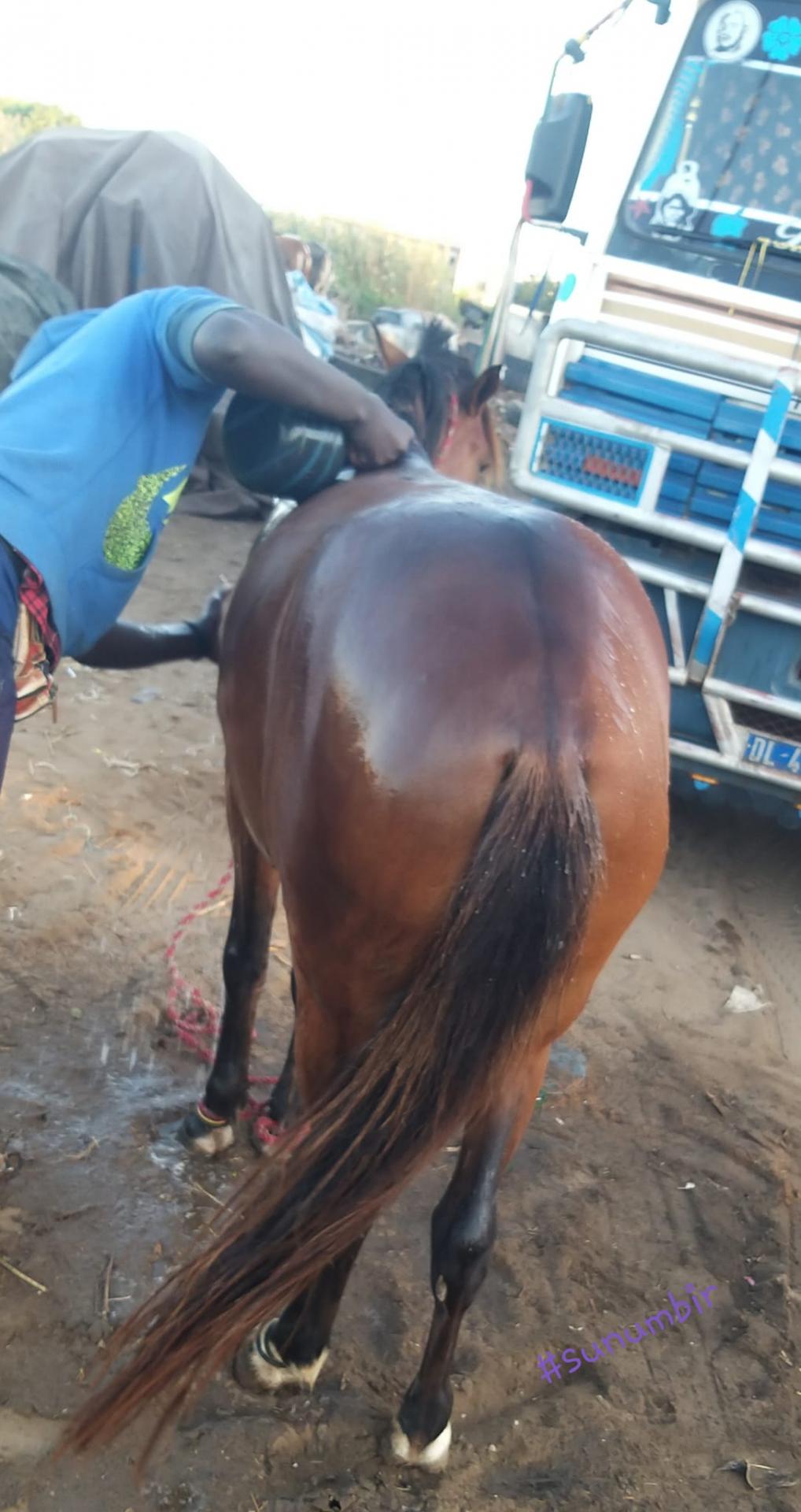 274277292 4785961498117719 1530326678164705336 n