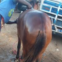 274277292 4785961498117719 1530326678164705336 n