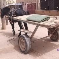 274291750 4788830987830770 246501445826773903 n 1