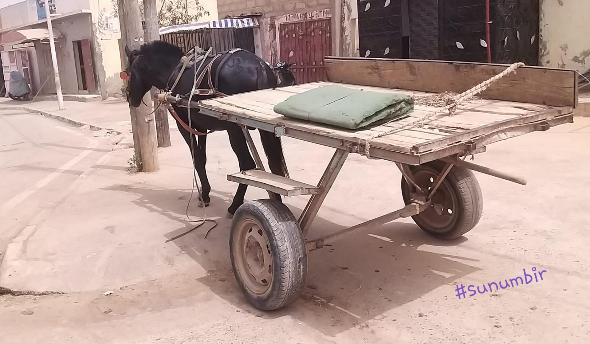 274291750 4788830987830770 246501445826773903 n