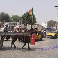 274305299 4792019847511884 5462045456941173653 n 1