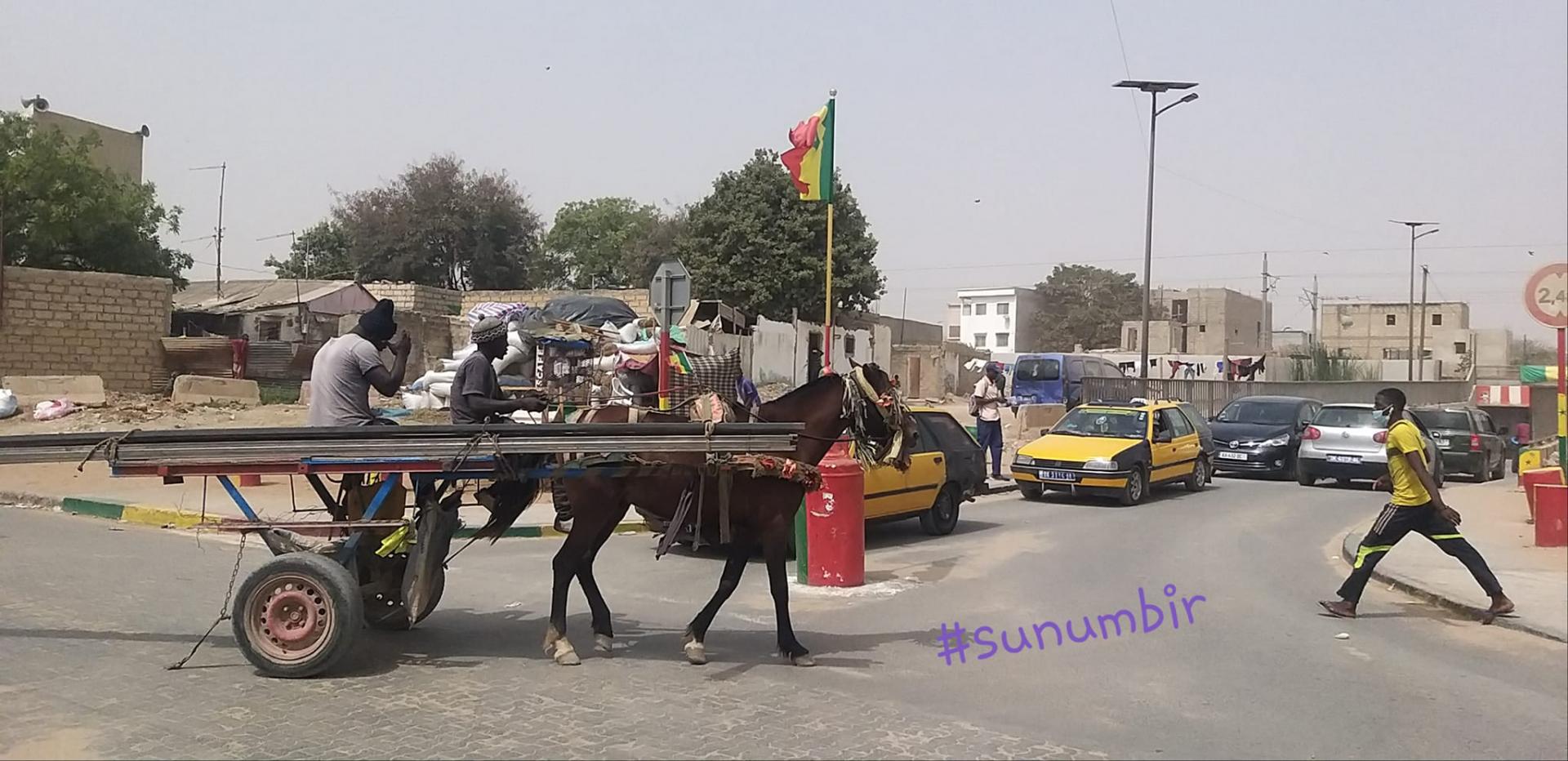 274305299 4792019847511884 5462045456941173653 n