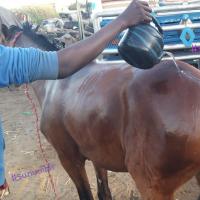 274327847 4785960814784454 4249640222635302646 n