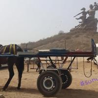 274350027 4796562313724304 4471553848067621159 n 1