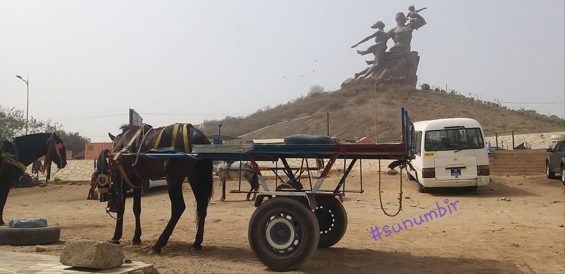 274350027 4796562313724304 4471553848067621159 n