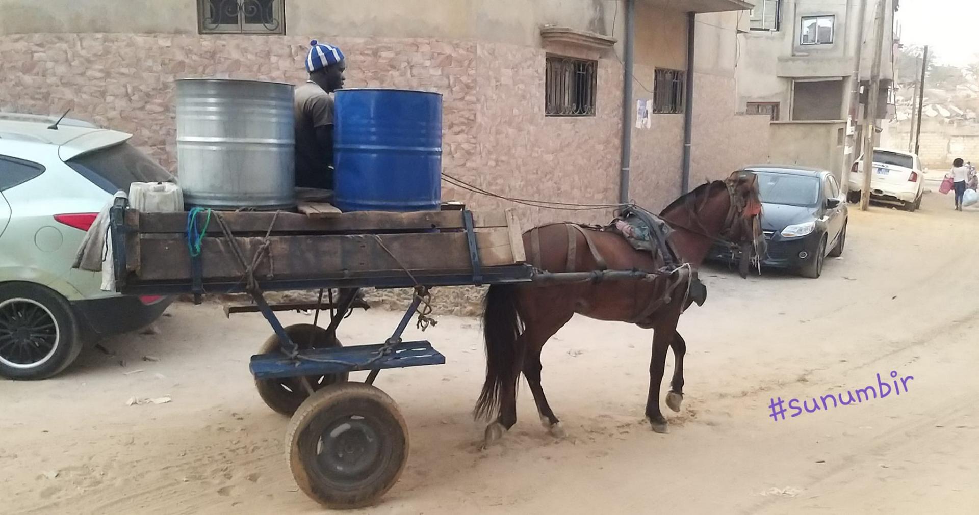 274352609 4790408481006354 749074750575414219 n 1