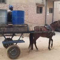 274352609 4790408481006354 749074750575414219 n 1