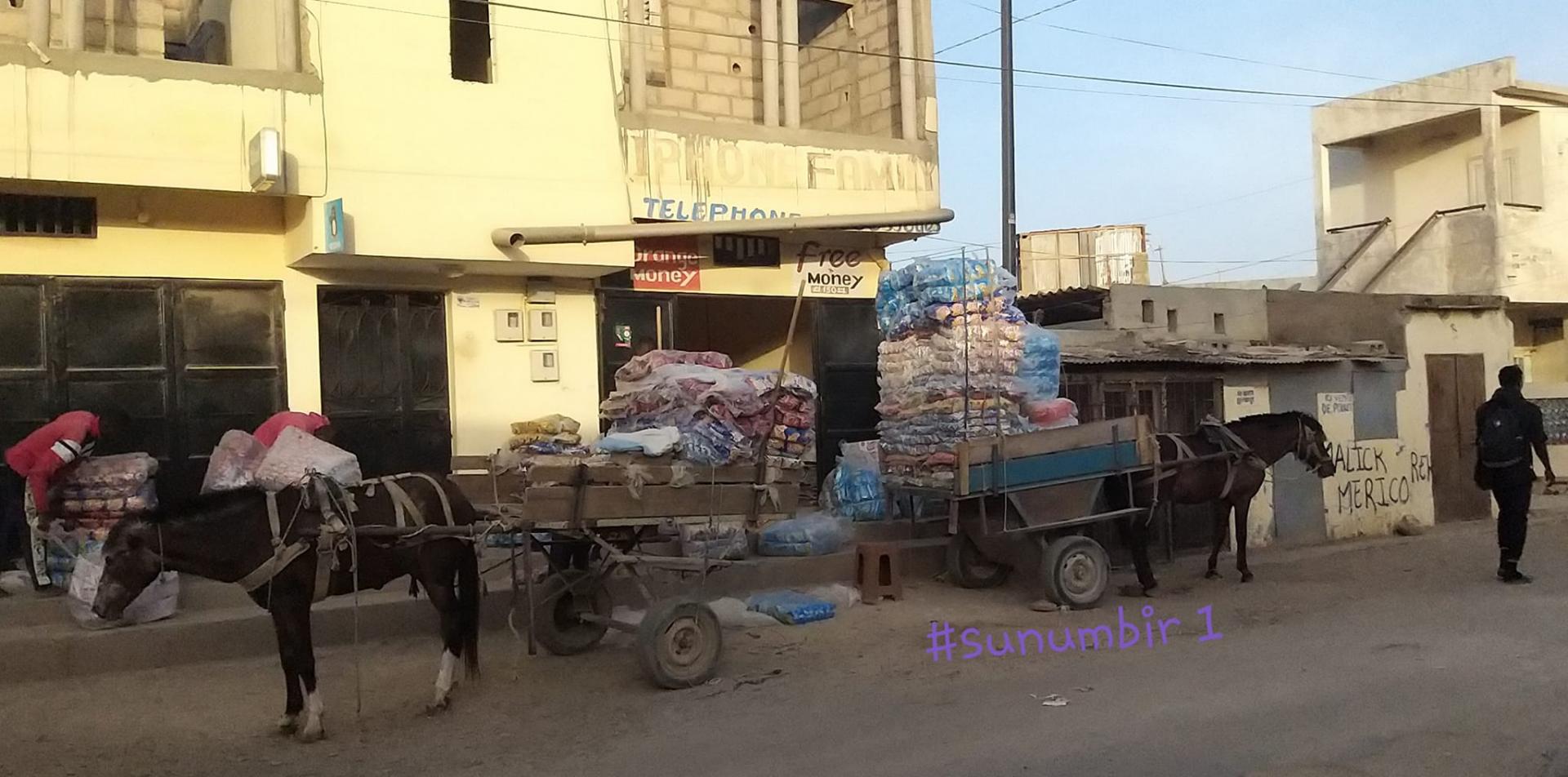 274353339 4787511921296010 8112178592550571432 n 1