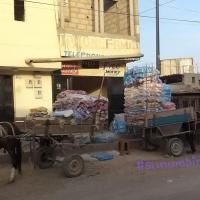 274353339 4787511921296010 8112178592550571432 n