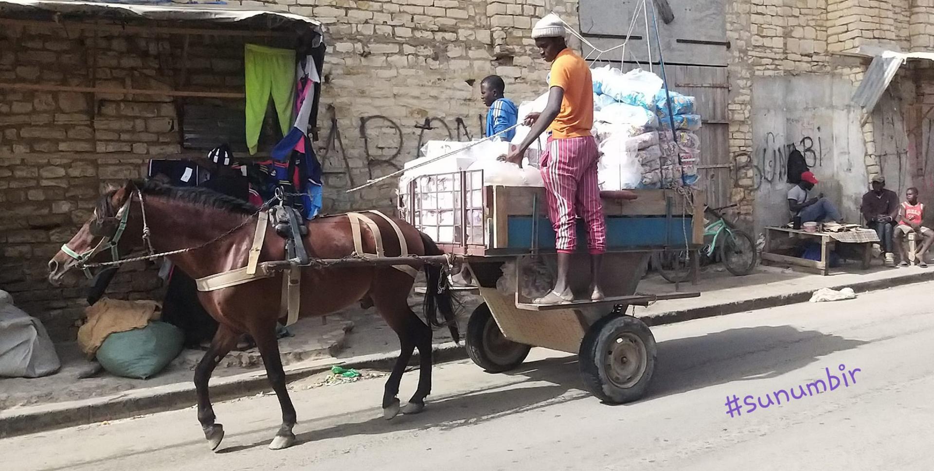 274487189 4794935397220329 6153670232314413073 n 1