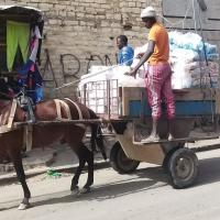 274487189 4794935397220329 6153670232314413073 n