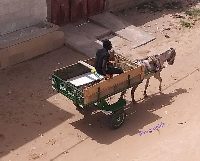 274508443 4793425197371349 5656004310529690823 n