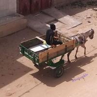 274508443 4793425197371349 5656004310529690823 n