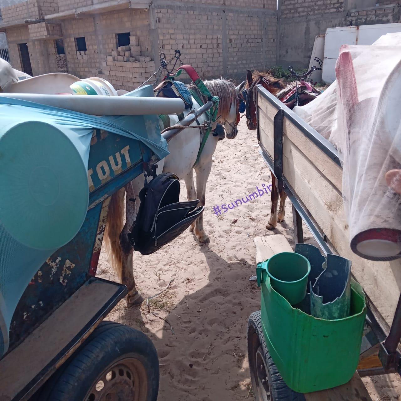 274517242 4801164249930777 488222924961092444 n