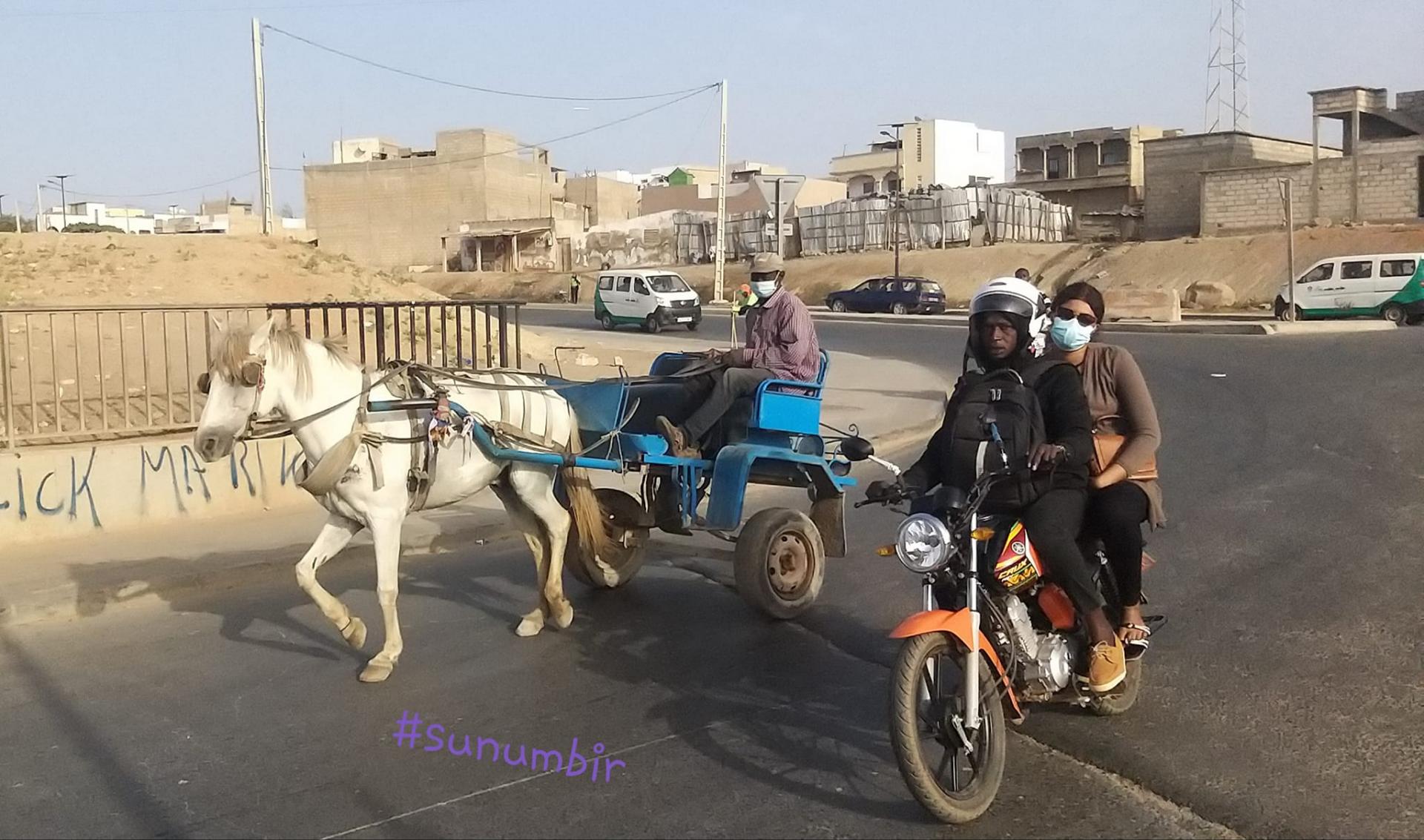 274535050 4804344616279407 2863212434917760734 n