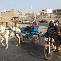 274535050 4804344616279407 2863212434917760734 n