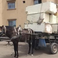 274536517 4800068393373696 934296166974241837 n