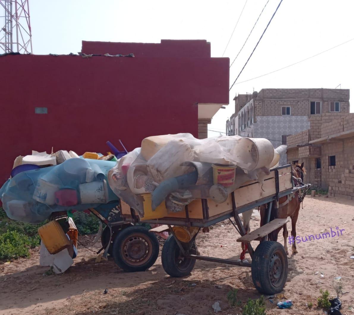 274538487 4801164376597431 1093747353515113634 n 1