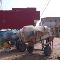 274538487 4801164376597431 1093747353515113634 n