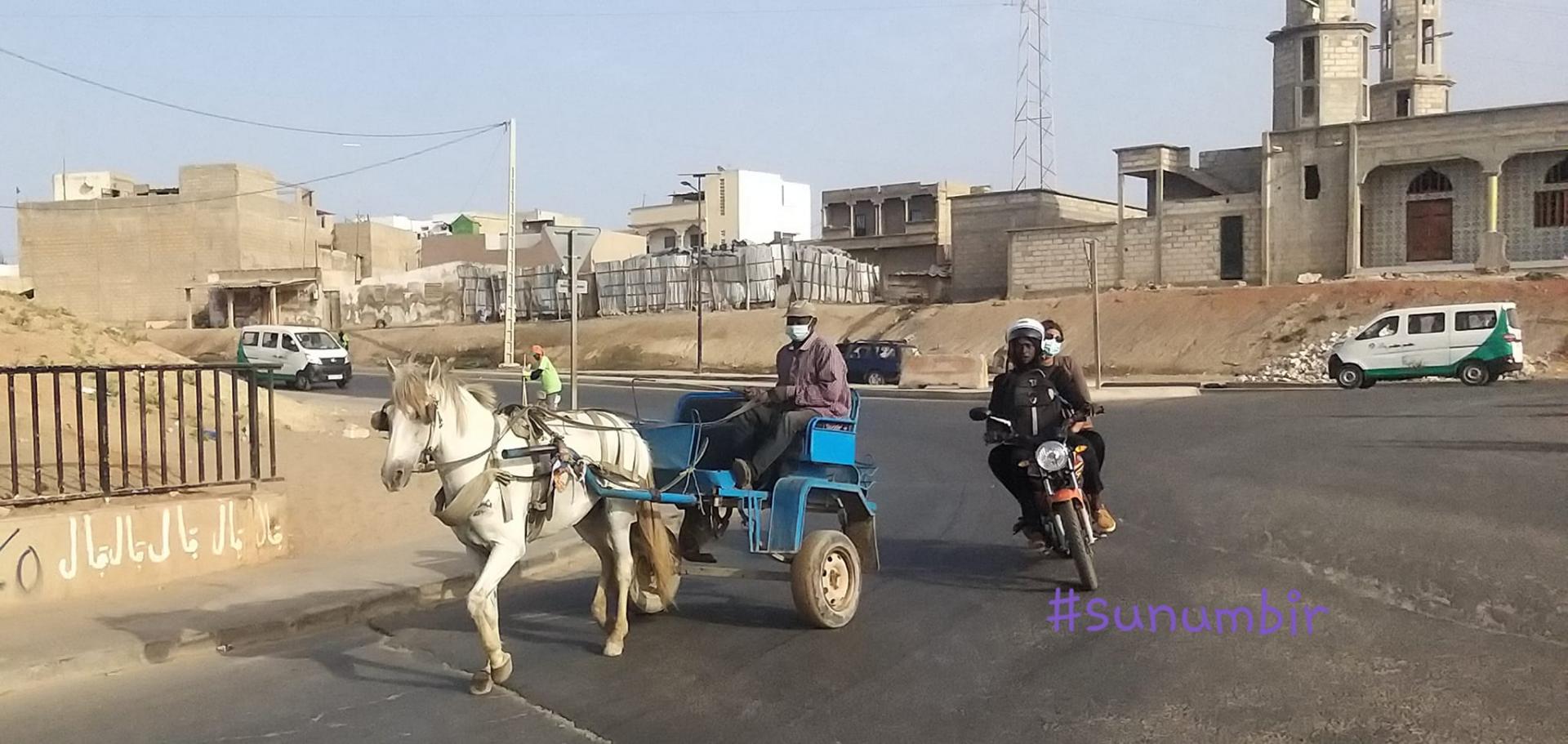 274556853 4804344529612749 7259211301442519344 n