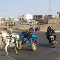 274556853 4804344529612749 7259211301442519344 n