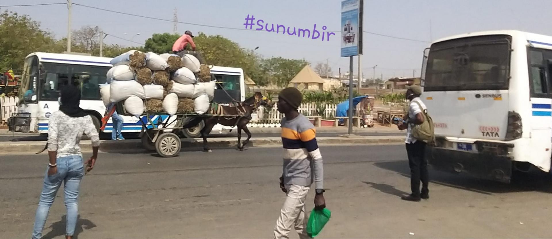 274579820 4798003303580205 1115291854273252047 n