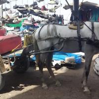 274586465 4803110159736186 8624553697391537476 n 1