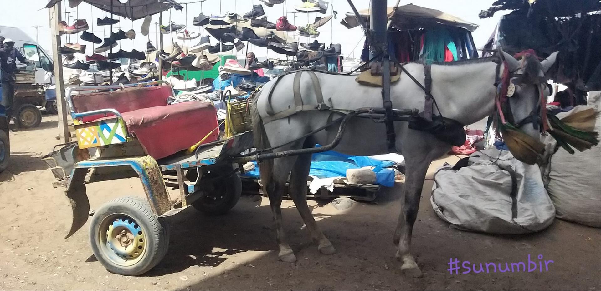 274586465 4803110159736186 8624553697391537476 n