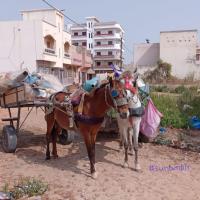 274601184 4801164293264106 4108815308954201350 n 1