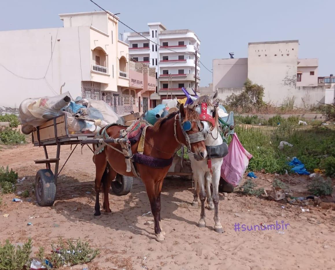 274601184 4801164293264106 4108815308954201350 n