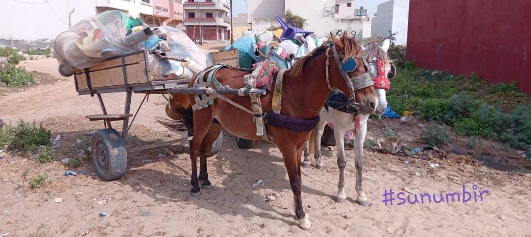 274622477 4801163916597477 1160735610919556967 n 1