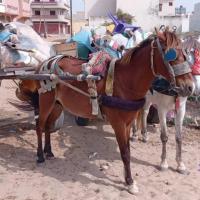 274622477 4801163916597477 1160735610919556967 n