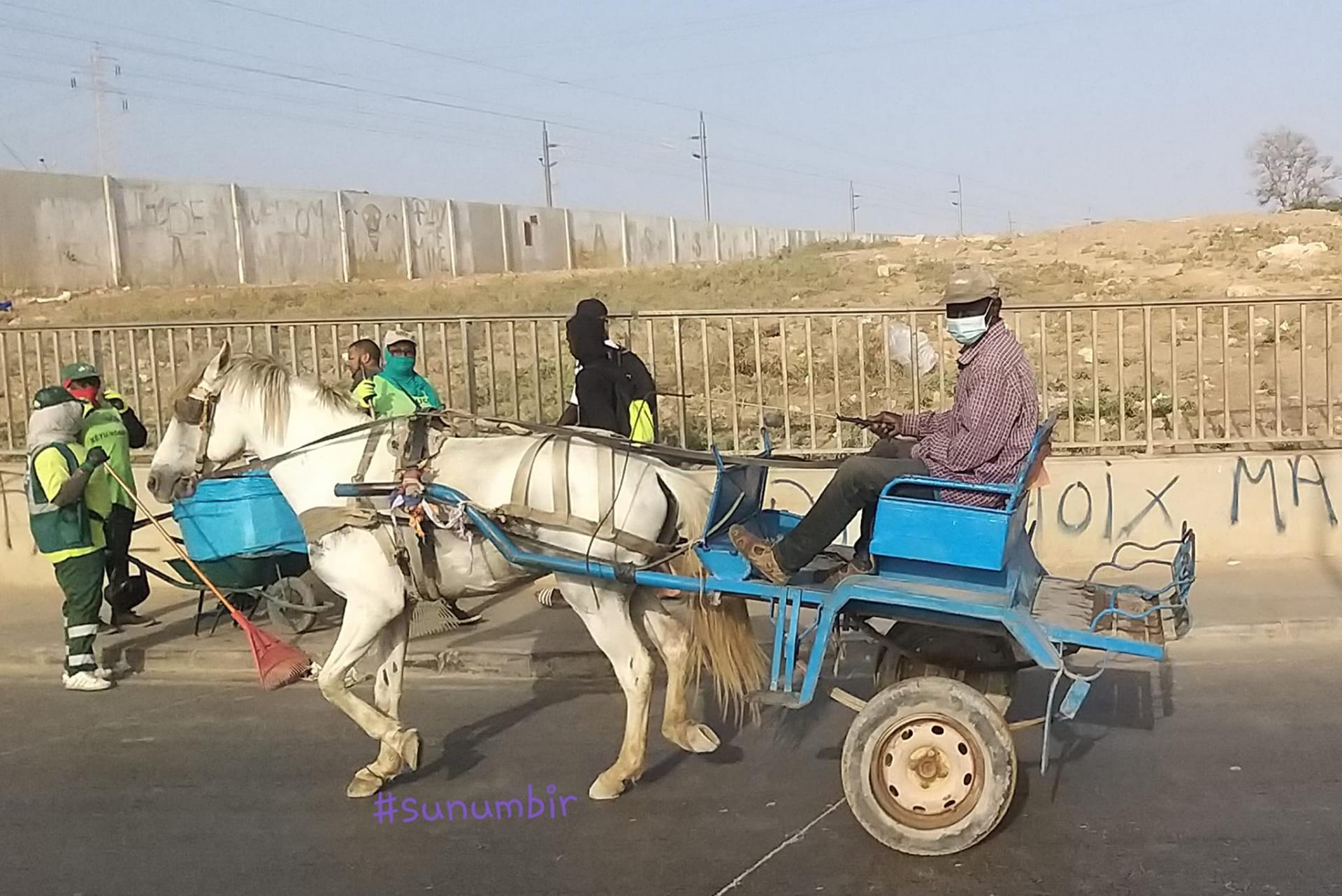 274640155 4804344409612761 1306500870613284157 n