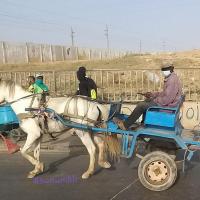 274640155 4804344409612761 1306500870613284157 n