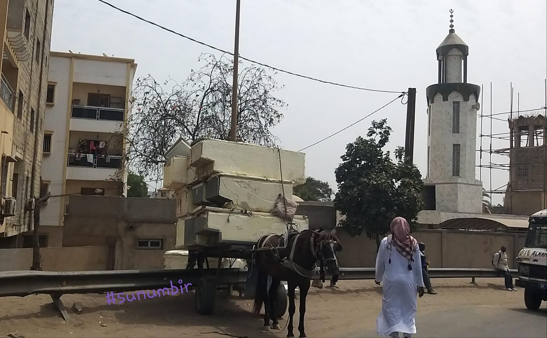 274651791 4800069270040275 371591153426448041 n