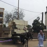 274651791 4800069270040275 371591153426448041 n