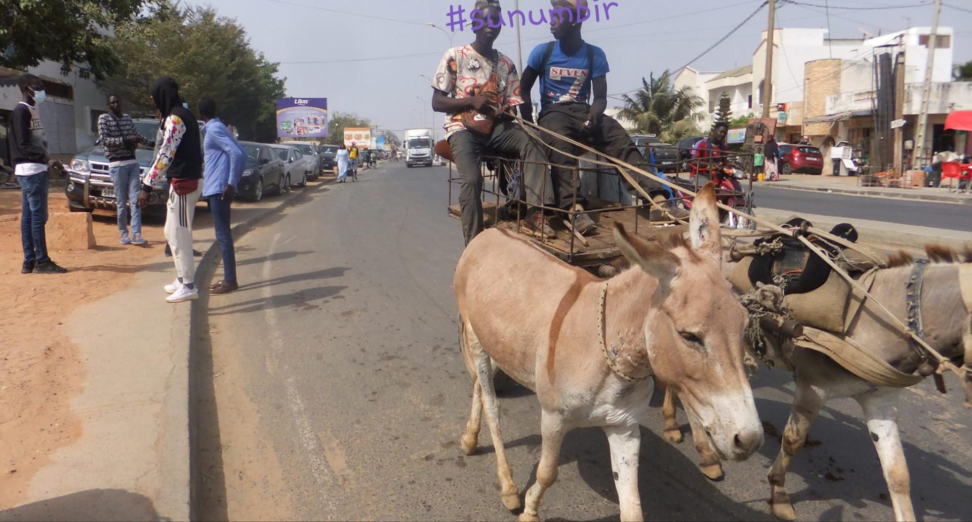 274661822 4807393232641212 1726192088613236929 n