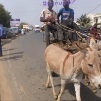 274661822 4807393232641212 1726192088613236929 n