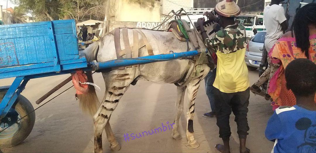 274705086 4809012109145991 2240972341267923534 n