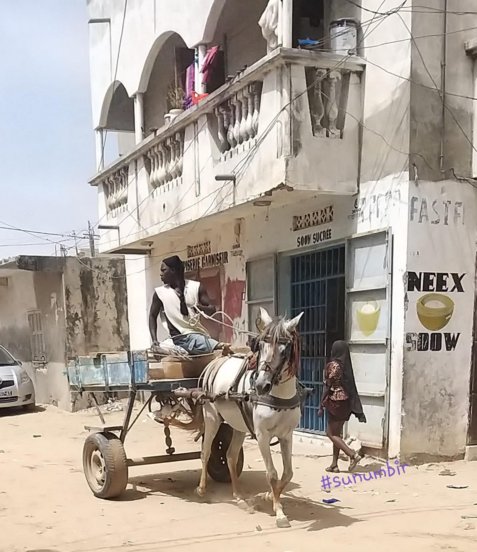 274705290 4810213392359196 2471599208020946782 n 1